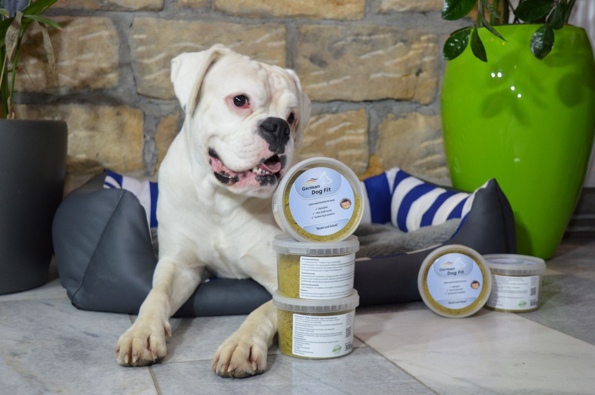 Muskel und Gelenk 0,3 KG - German Dog Fit