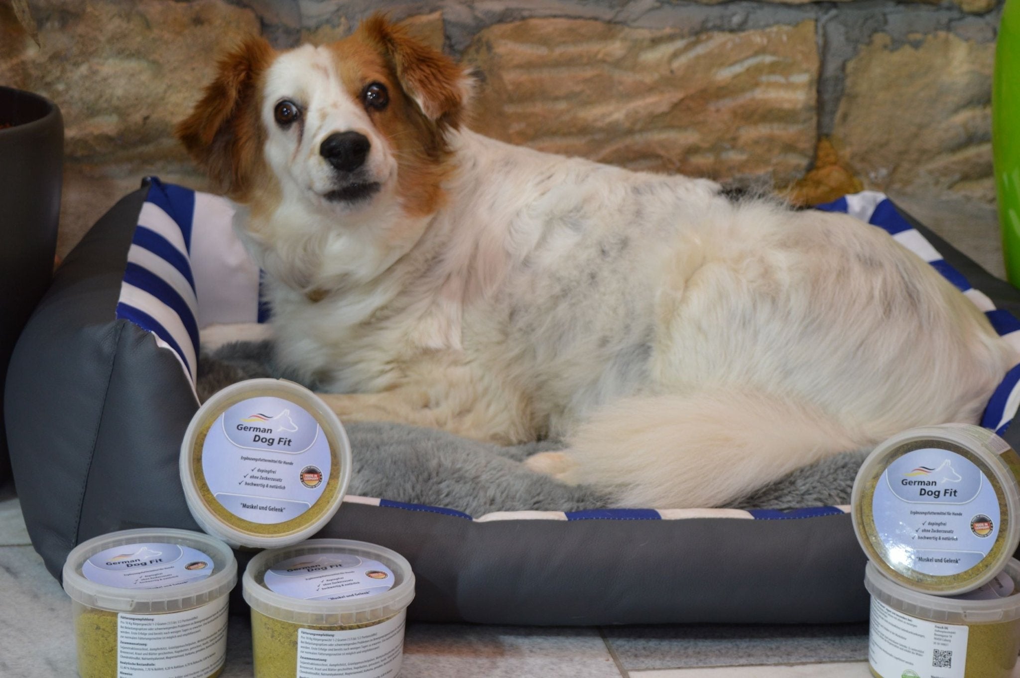 Muskel und Gelenk 0,3 KG - German Dog Fit